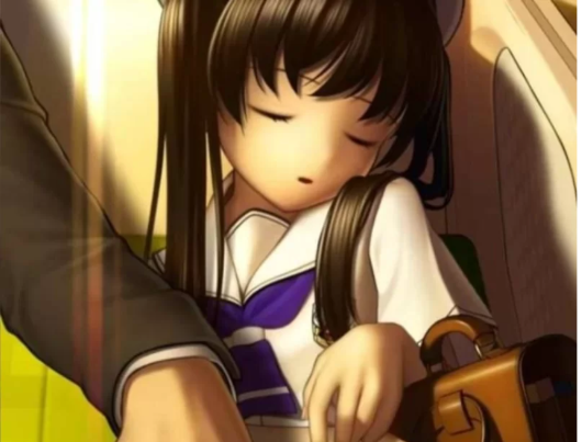 【互动/SLG/动态】-边境社电车少女【842m】安卓-春日ACG