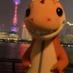 我不知道的头像-春日ACG