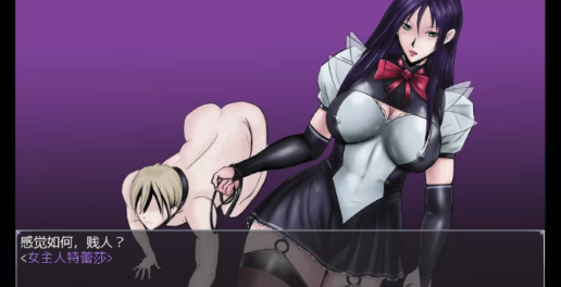 图片[3]-[RPG/SM/受m/2D】利特泽纳女王国 The Queendom of Lithzena v41b  安卓+PC-春日ACG