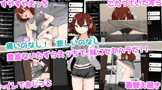 图片[4]-【触摸SLG/互动/动态/骨科/养成】与青春期妹妹的ERO30天 安卓joi+PC-春日ACG